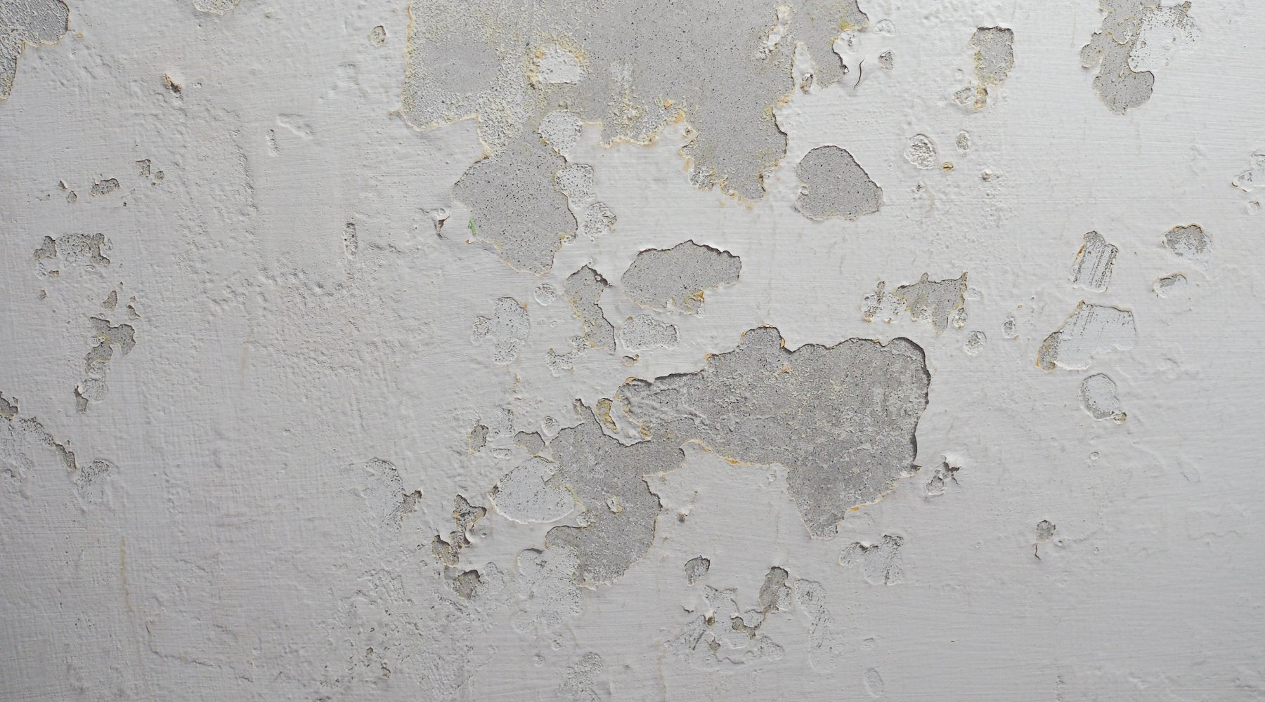 How to Paint a Damp Wall: Preventing Future Issues with Anti-Mould and Damp-Resistant Solutions - PaintOutlet.co.uk