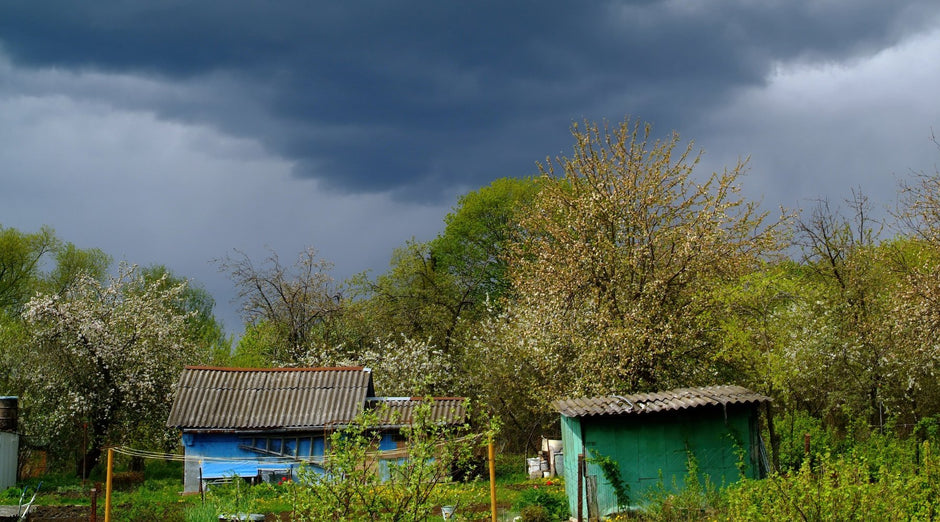 How to Paint Outbuildings and Garages: Weatherproofing Wooden and Metal Structures - PaintOutlet.co.uk