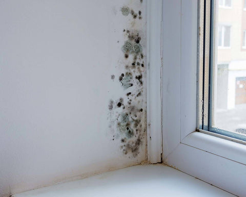 condensation on walls