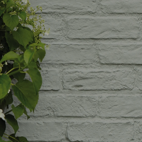high quality Masonry Paint