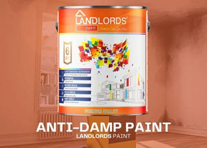 Landlord’s Paint - Anti - Damp Paint - PaintOutlet.co.uk