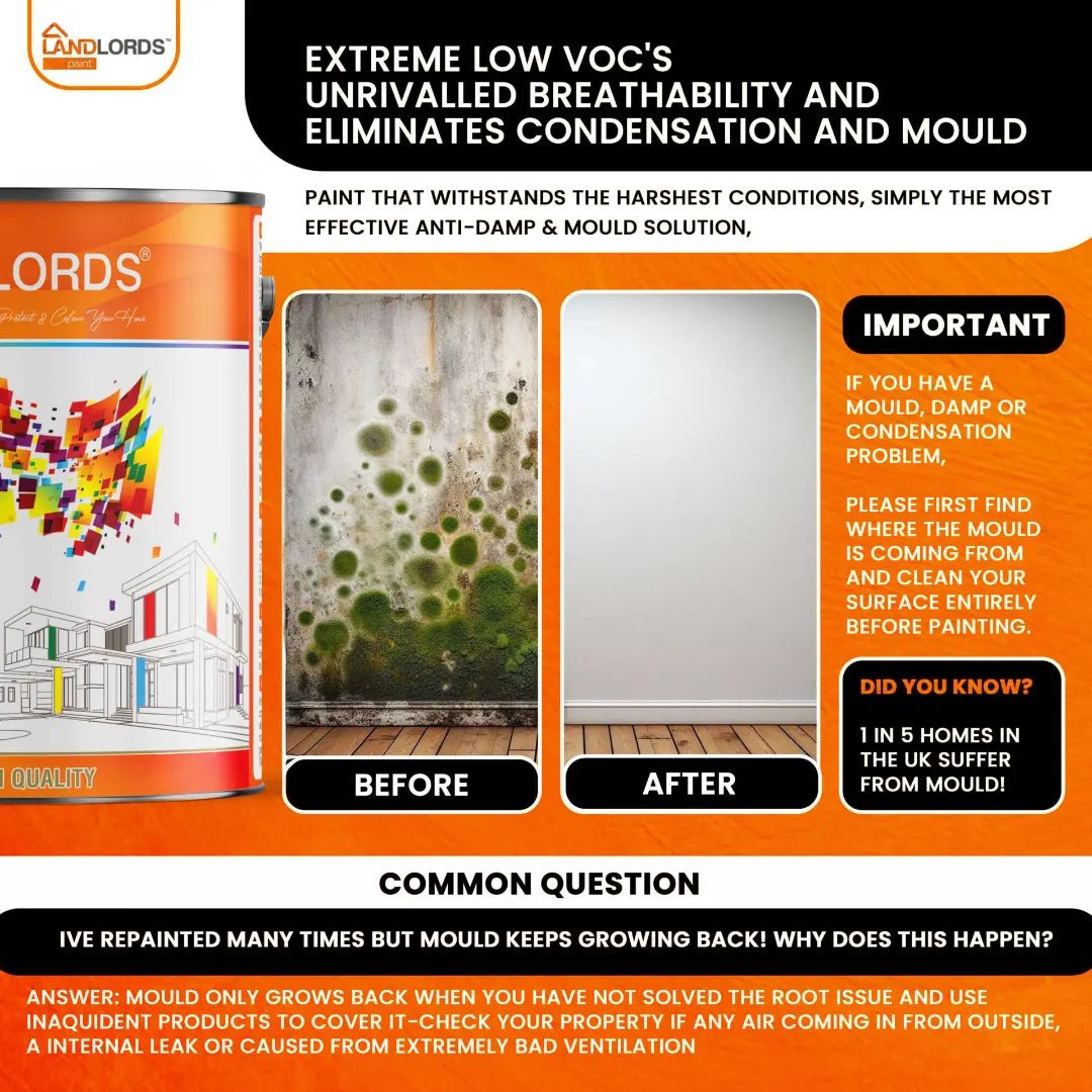 Landlord’s Paint - Eggshell Paint - PaintOutlet.co.uk