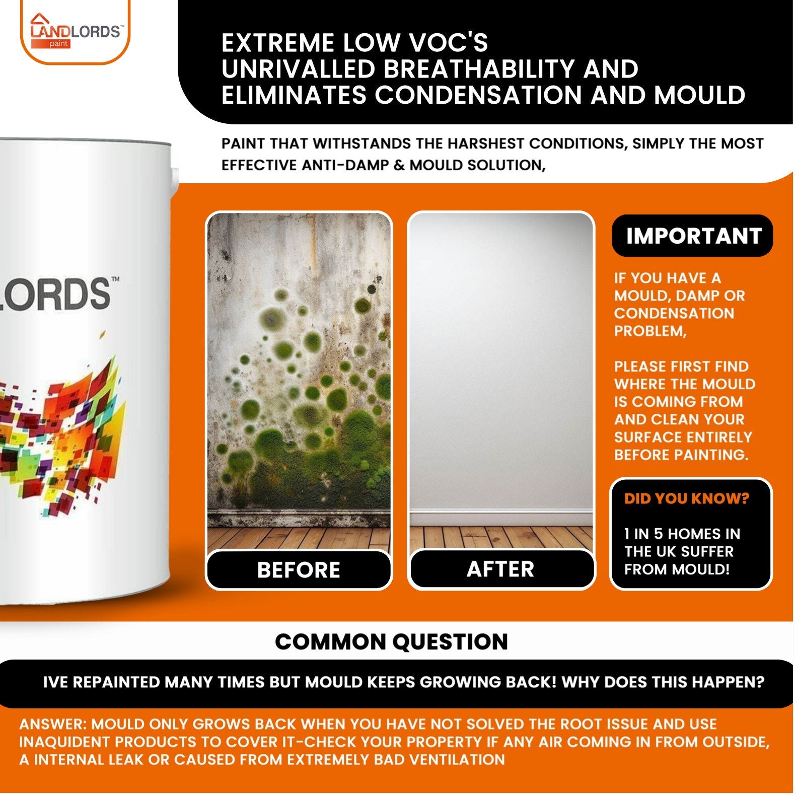 Landlord’s Paint - Garden & Wood Paint eliminates condensation