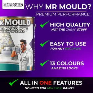 MR MOULD - ANTI - MOULD PAINT - PaintOutlet.co.uk