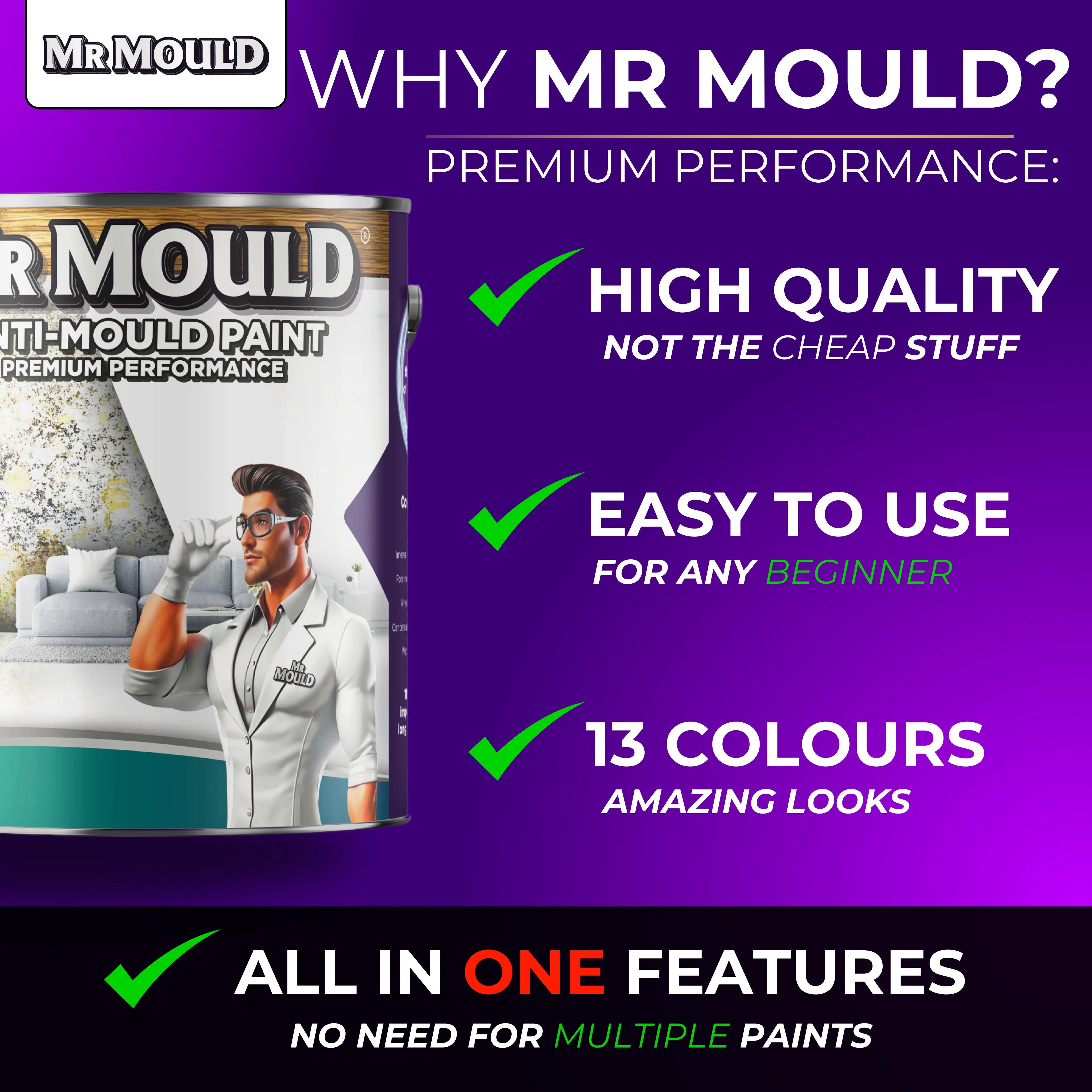 MR MOULD - ANTI - MOULD PAINT - PaintOutlet.co.uk