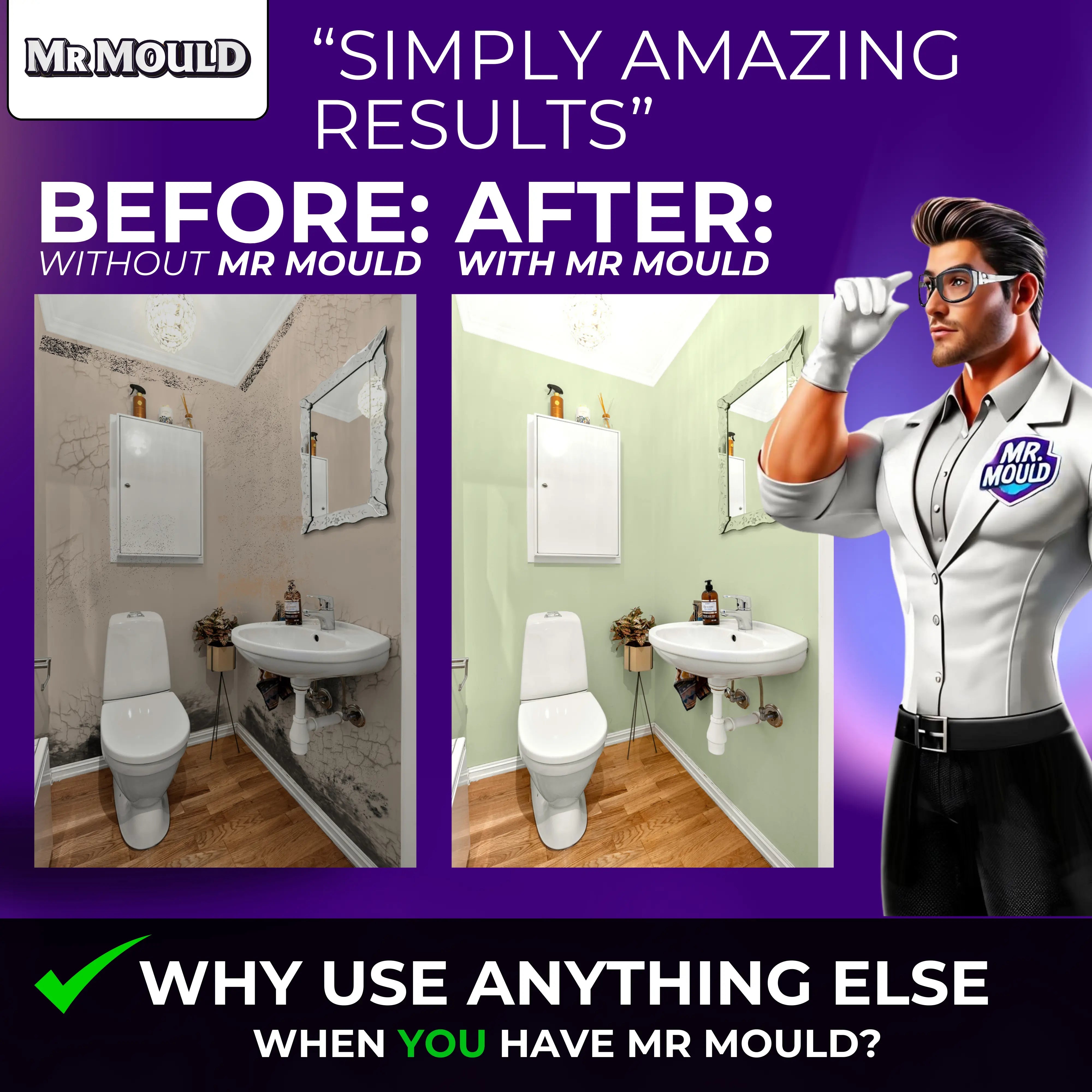 MR MOULD - ANTI MOULD PAINT - PaintOutlet.co.uk