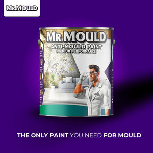 MR MOULD - ANTI - MOULD PAINT - PaintOutlet.co.uk