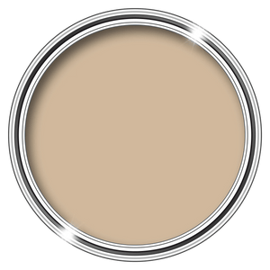 MR MOULD - ANTI - MOULD PAINT - PaintOutlet.co.uk