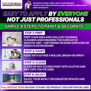 MR MOULD - ANTI - MOULD PAINT - PaintOutlet.co.uk