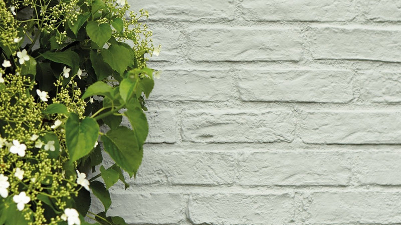 How and where can we use normal masonry paint - PaintOutlet.co.uk