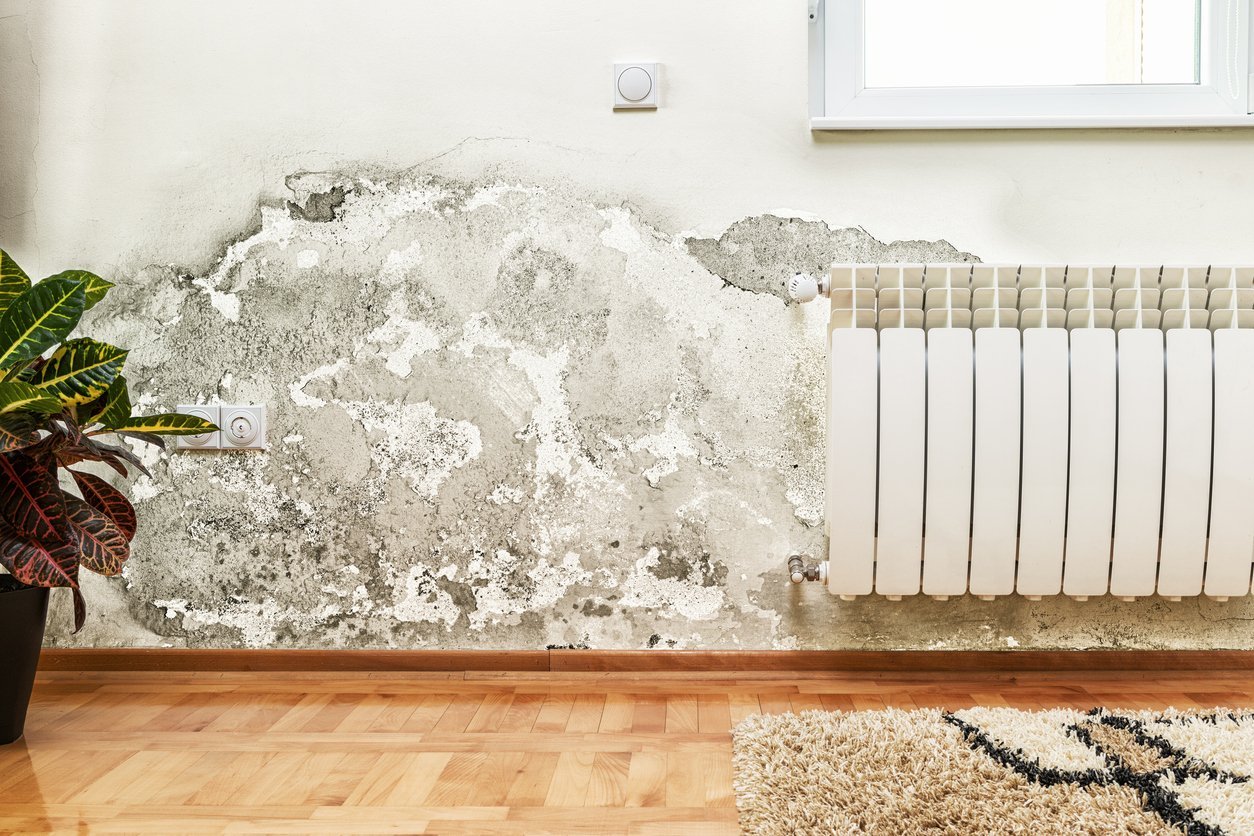 How to paint and prevent the growing dampness in the walls and ceilings? - PaintOutlet.co.uk