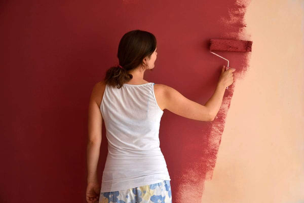 how to paint and protect mould generation in any home or building? - PaintOutlet.co.uk