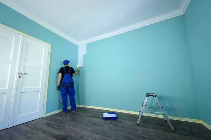 How to paint and rejuvenate the walls and ceilings of a home? - PaintOutlet.co.uk
