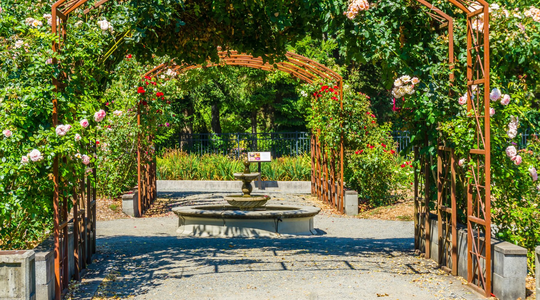 How to Paint Garden Trellises: A Guide to Weatherproofing Outdoor Decor - PaintOutlet.co.uk
