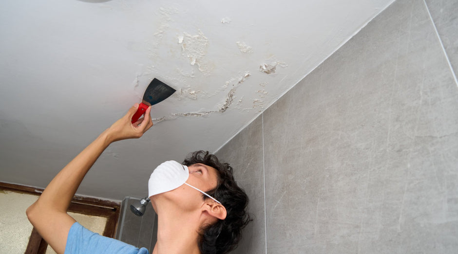 Types of Damp, Mould, and Condensation: Identification and Treatment Guide - PaintOutlet.co.uk