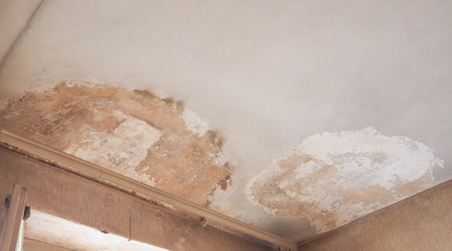 What is Penetrating Damp and How to Stop It? - PaintOutlet.co.uk