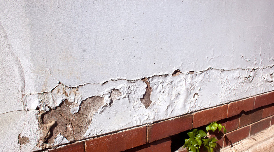 What is Rising Damp and How to Stop It? - PaintOutlet.co.uk