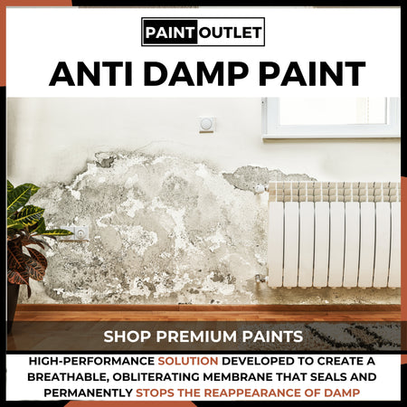 Anti Damp Paint | PaintOutlet247