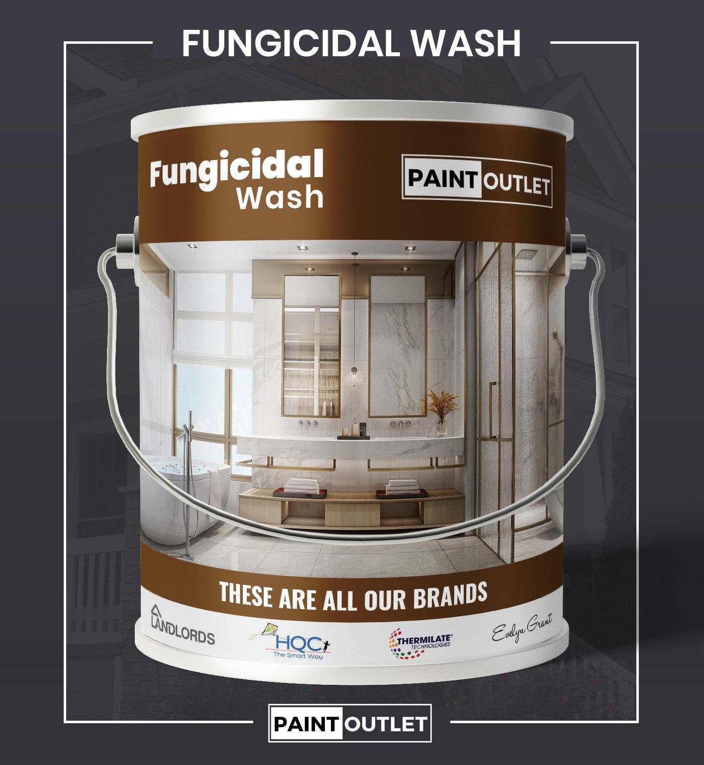 Fungicidal Wash | PaintOutlet247