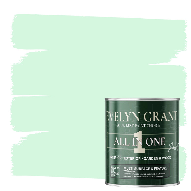 EVELYN GRANT - INTERIOR & EXTERIOR - ALL IN ONE PAINT - PaintOutlet.co.uk