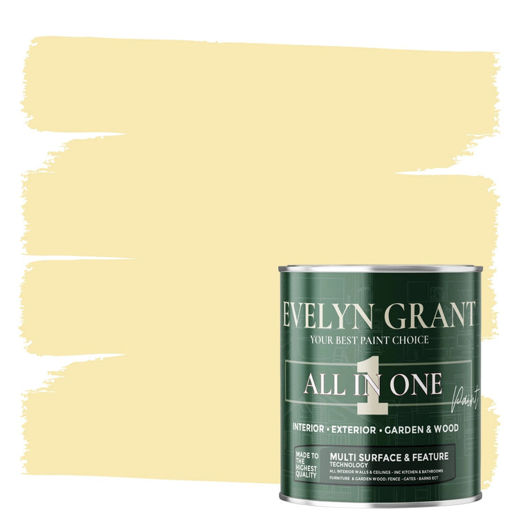 EVELYN GRANT - INTERIOR & EXTERIOR - ALL IN ONE PAINT - PaintOutlet.co.uk