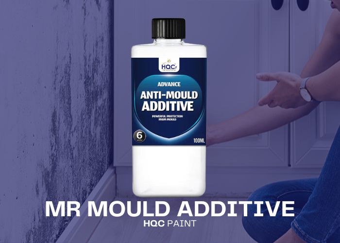 Mould Killer and Paint Additive - PaintOutlet.co.uk