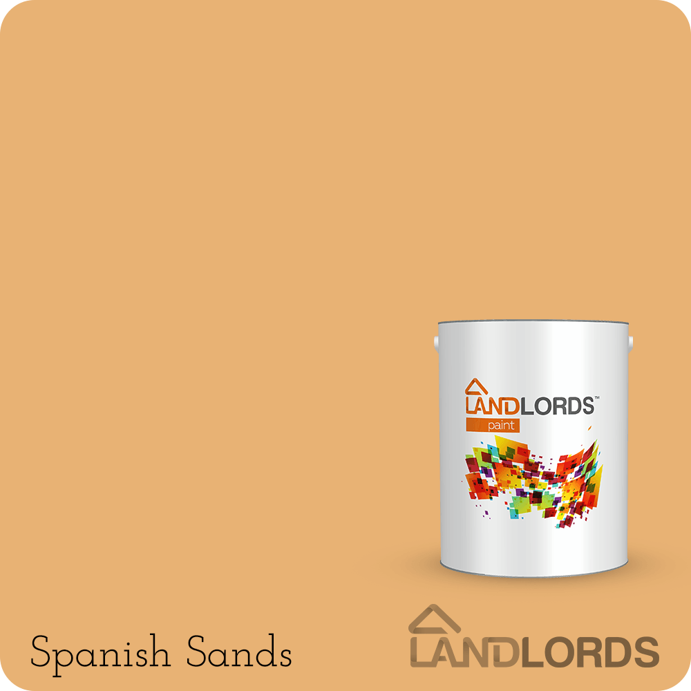 Landlord’s Paint - Anti-Damp Paint - PaintOutlet247