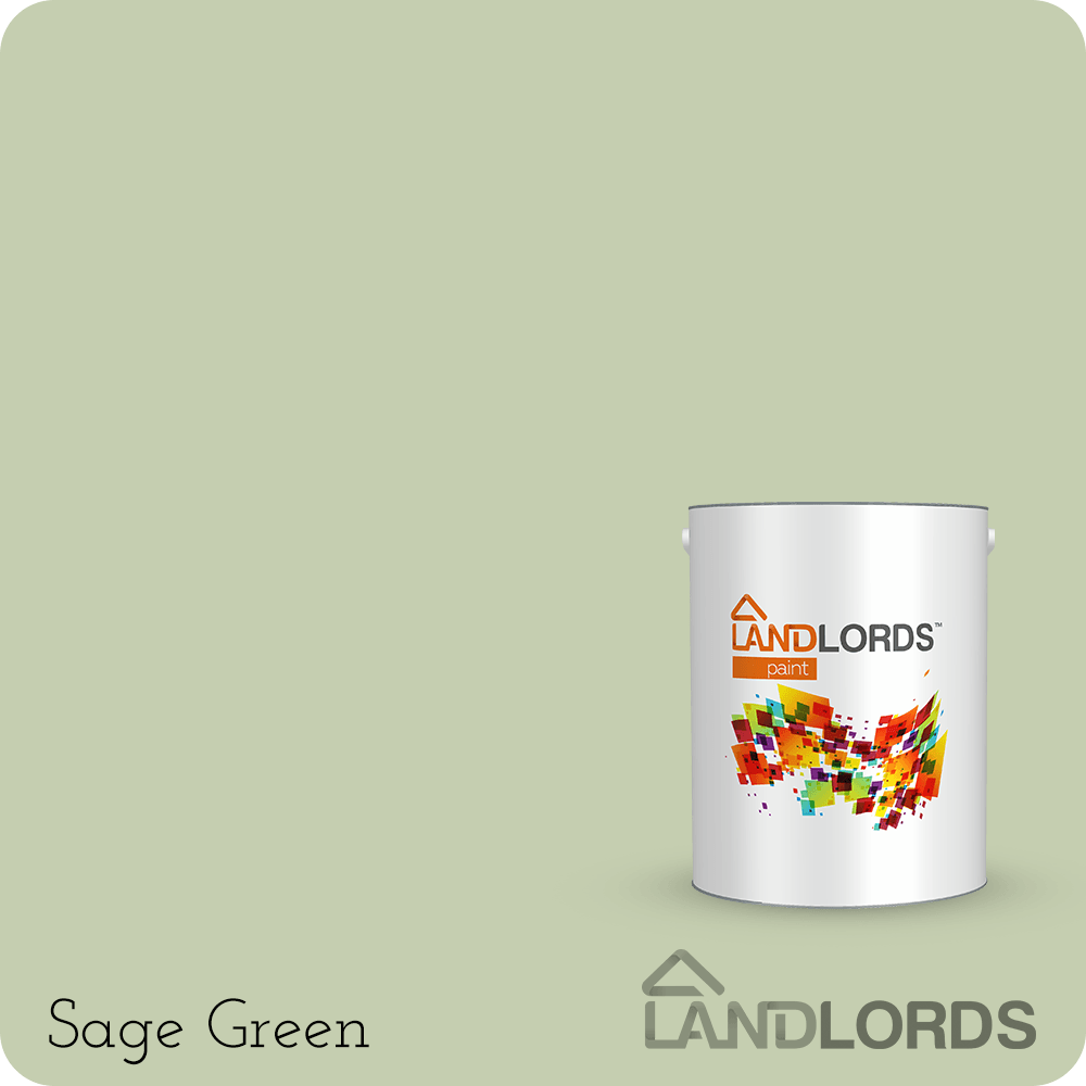 Landlord’s Paint - Kitchen Paint - PaintOutlet247