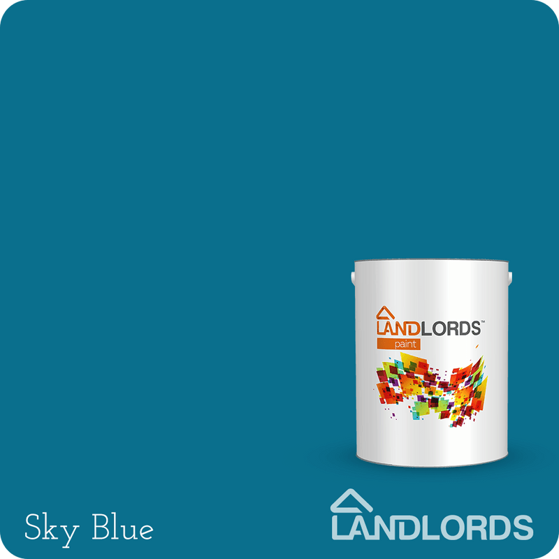 Sky blue 2025 coat paint