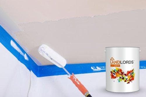 Landlord’s Paint - Wall Primer Sealer - PaintOutlet247